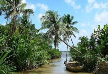 MEKONG RIVER DELTA 1 DAY from 25 USD/person only